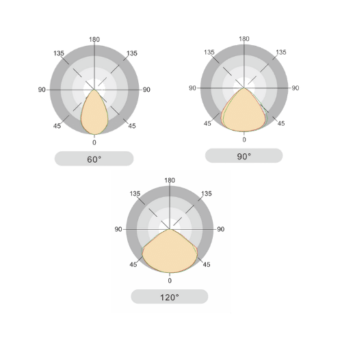Curva de Distribución